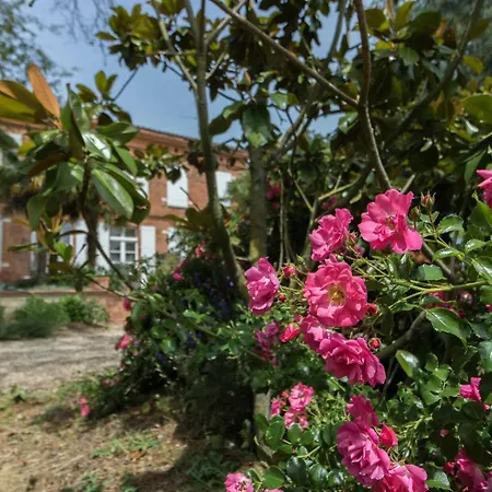 Les Pyrenees * Aurin