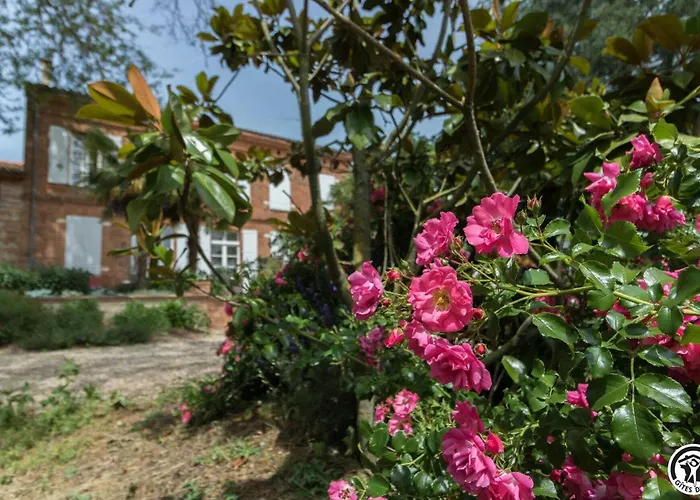 Les Pyrenees * Aurin